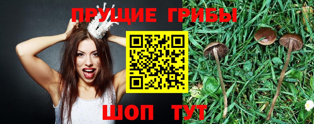 Галлюциногенные грибы MAGIC MUSHROOMS  Вход с VPN  Ленинск-Кузнецкий 